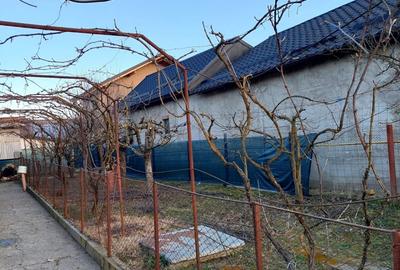 Casă cu 4 camere în Călina - 2