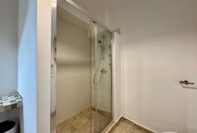 Apartament cu 2 camere semidecomandat, mobilat în P-ța Victoriei - 10