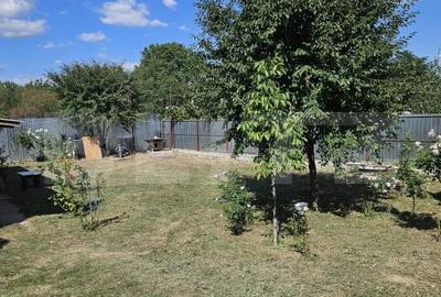 Casa ideala familie - 13