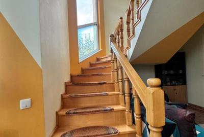 CASA DE VIS SAU AFACERE DE SUCCES BAIA SPRIE - 18