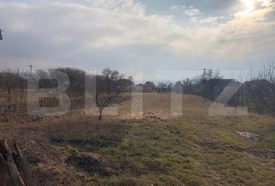 Casa de vanzare, cu 7 camere, 350 mp u & 2850 mp teren - 18