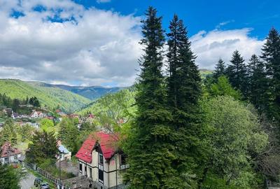 Apartament cu 2 camere semidecomandat, mobilat în Furnica - 5