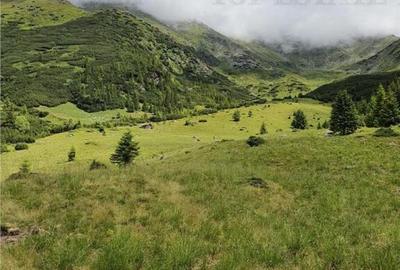 SUPER OPORTUNITATE, DE VANZARE O PROPRIETATE SPECIALA, MUNTE - 12