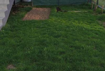 Garsonieră în Dobroești - 4