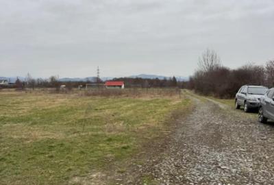 Teren în Lăpuș - 3