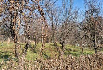 Somcuta Mare, central, 10 ari teren - 6