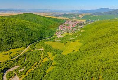 Teren 128.000 mp-Sacele-zona Garcini/ Intravilan/ COMISION 0% - 8