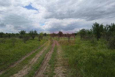 Teren Construcții intravilan de 3750 mp, în Giulești - 24