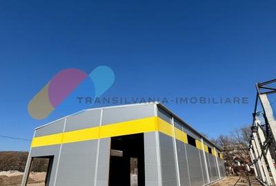 Hale de inchiriat – 600 mp, open space, acces TIR, zona intrare Baciu - 1