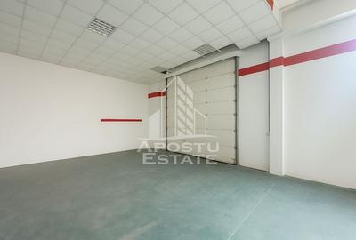 Hala pentru depozitare sau productie, 435 mp, Calea Sagului - 2
