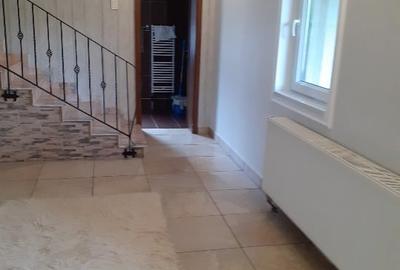 Proprietar vând casă în Dumbravița - 1