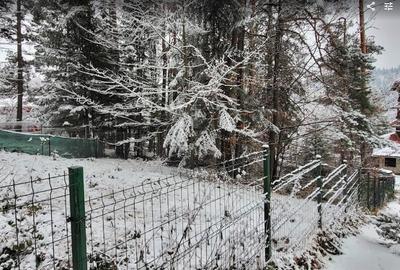 Teren Sinaia/Cumpatu - 10