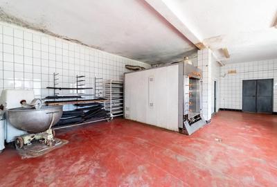 Spațiu comercial, de 230 mp, în Central - 5