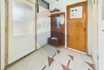 Casă individuală cu 2 camere cu Teren 4000 Mp în Butimanu - 14
