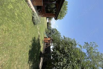 Casă cu 1 camere cu Teren 2859 Mp în Siliștea Snagovului - 6