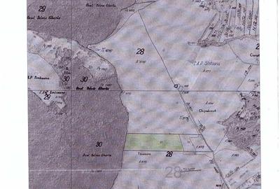 Teren de 70000 mp, în Sântejude - 5