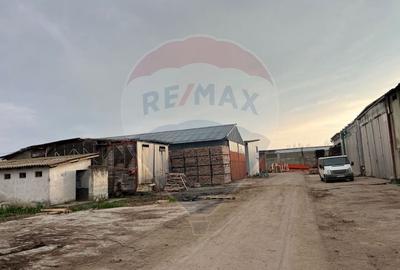 Spațiu industrial, de 7,756 mp, în Cerăt - 20