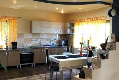Oferta casa de vacanta P+1+M cu 1700mp teren, in Gura Raului - 15