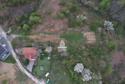 Teren intravilan 16 ari/panorama la tot orasul OCAZIE! - 3