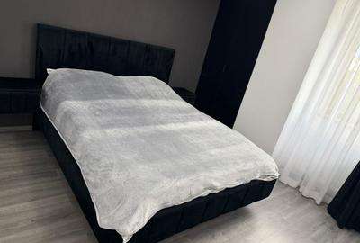 Apartament cu 2 camere nedecomandat, mobilat în Exercițiu - 5