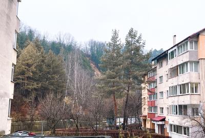 Inchiriem Apartament 3 Camere Mobilat Decomandat Racadau - 16