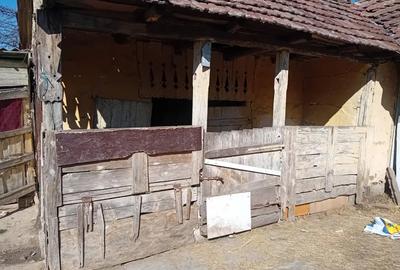 Casă cu 6 camere în Cermei