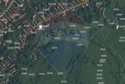 Teren extravilan, faneata, 4000 mp, Tarlungeni - 5