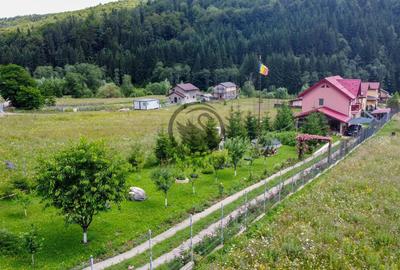 Casă cu 3 camere cu Teren 1189 Mp în Cheia - 5