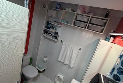 Apartament cu 4 camere decomandat, mobilat în Theodor Pallady - 12