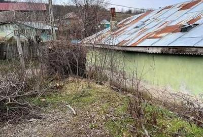 Casă cu 2 camere în Bursuci - 8