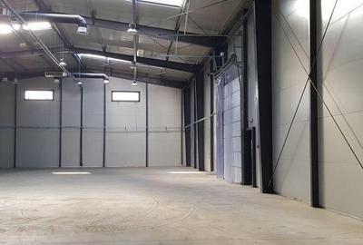 Spațiu comercial, de 736 mp, în Mogoșoaia - 6