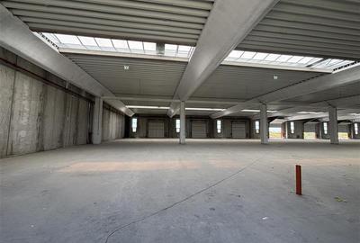 Spațiu industrial, 300 mp în Exterior Vest