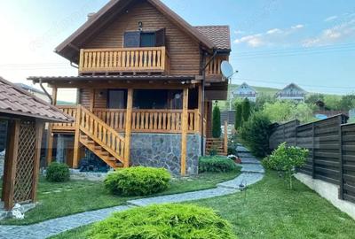 Cabana deosebita in Campenesti - un refugiu modern cu priveli?te superba la lac - 15