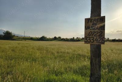Teren de 1800 mp, în Cârțișoara - 5