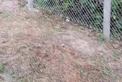Casă cu 4 camere în Budănești - 1