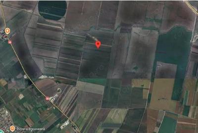 Teren extravilan cota parte 1/6 Odobesti, ID: R2878573 - 6