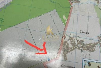 Teren de 17000 mp, în Corbeanca