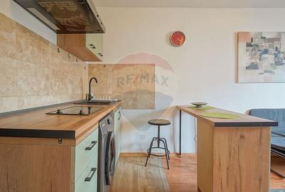 Garsonieră de vânzare în zona Astra, 22 mp, etaj 2, renovată - 6