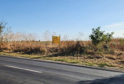 Frumusani-Pasarea,stradal la asfalt,ideala investitie! - 4