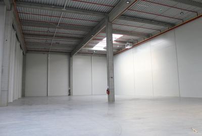 Hala cu rampe si drive-in, zona Nervia - 3