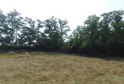 Casa la tara jud. Botosani - 3