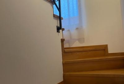 Duplex cu 3 camere cu Teren 500 Mp în Ferneziu - 16