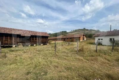 Teren de 3000 mp, în Filiași