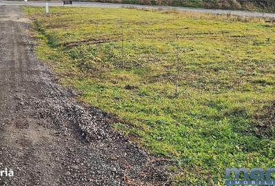 Spațiu comercial, în Central - 2