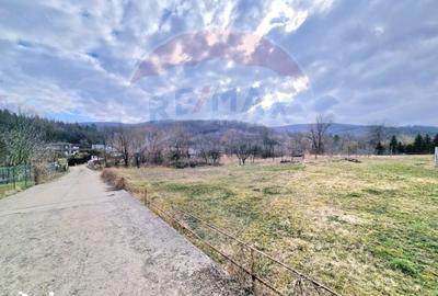 Teren de 2286 mp, în Mărgineni - 5