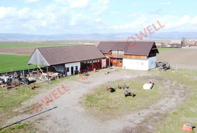 Casă cu 8 camere cu Teren 2400 Mp în Periferie - 3
