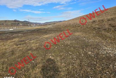 Spațiu comercial, în Barcani