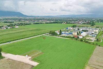 Teren de 800 mp, în Bartolomeu - 3