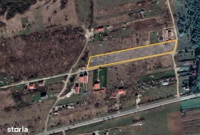 Teren de 8600 mp, în Roșia