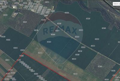 Teren Construcții intravilan de 100000 mp, în Adunații-Copăceni - 6